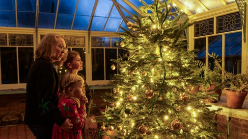 Visitors looking at lit Christmas tree in the conservatory at Sunnycroft, Shropshire